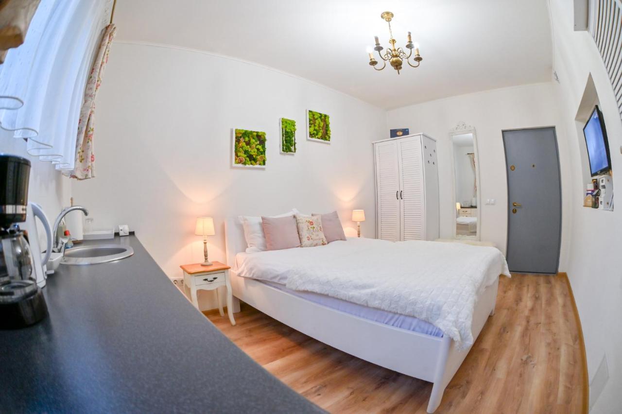 Transilvania Apartment Сибиу Екстериор снимка
